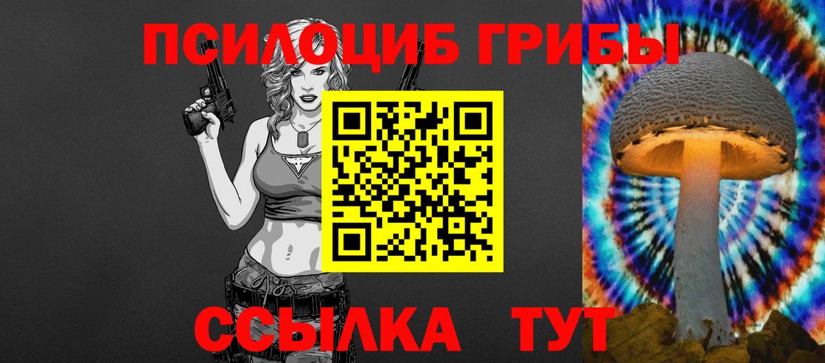 Псилоцибиновые грибы Psilocybine cubensis Обнинск